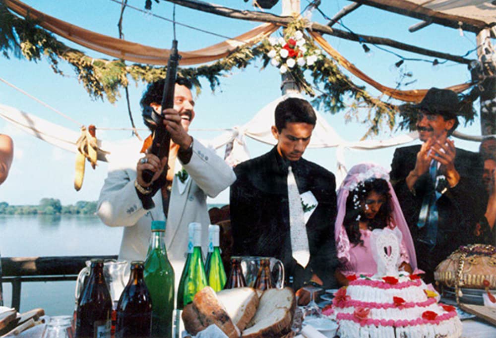 黒猫・白猫の画像