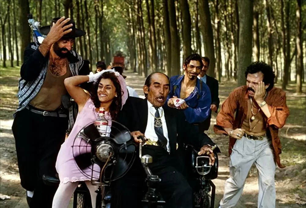 黒猫・白猫の画像