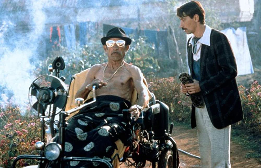 黒猫・白猫の画像