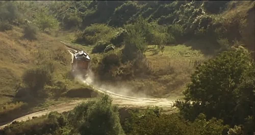 黒猫・白猫の画像