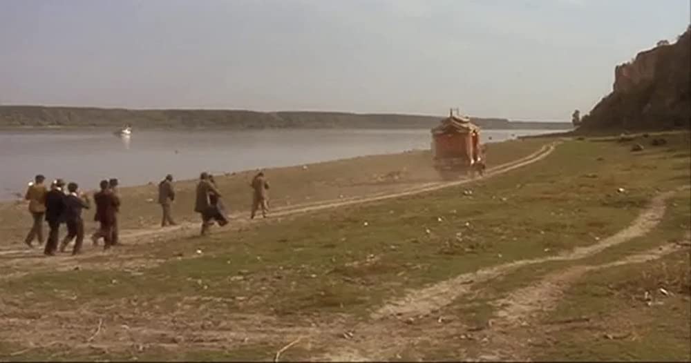 黒猫・白猫の画像