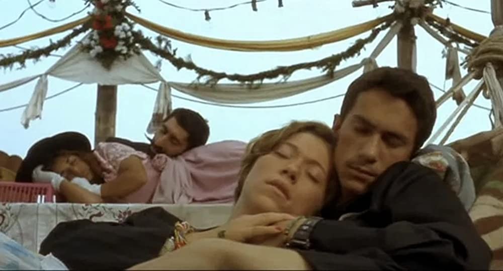 黒猫・白猫の画像