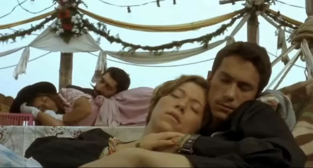 黒猫・白猫の画像