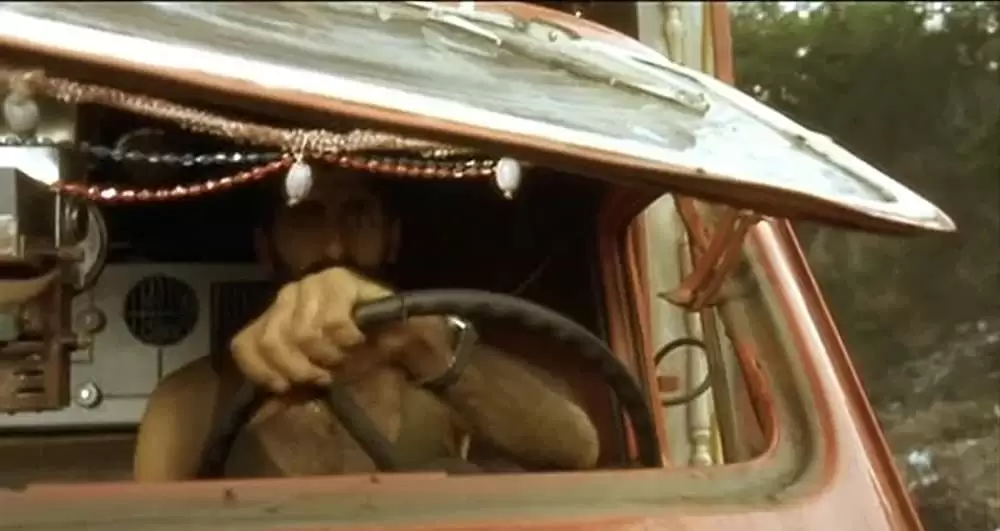 黒猫・白猫の画像