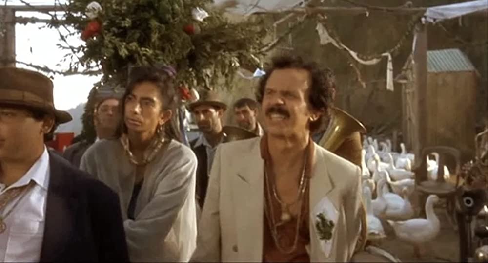 黒猫・白猫の画像