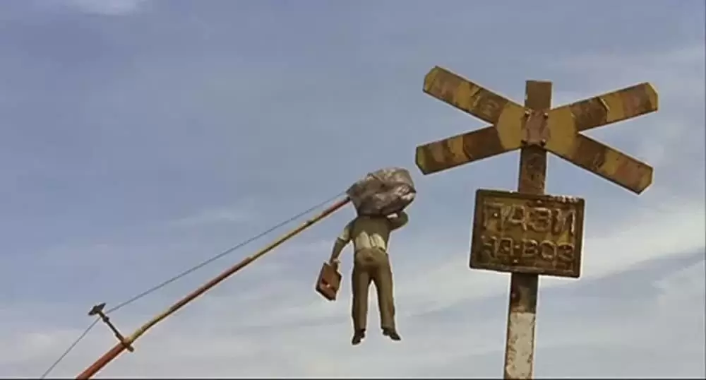 黒猫・白猫の画像