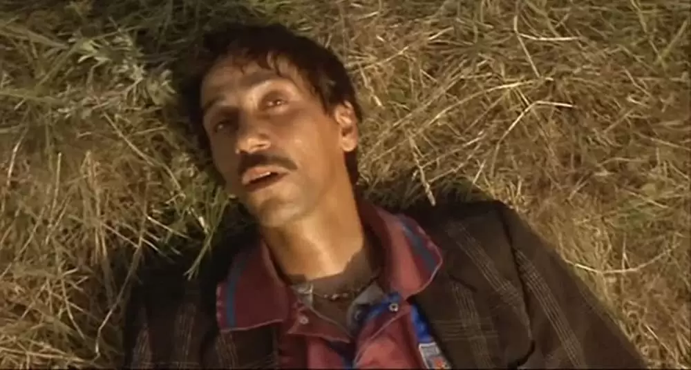 黒猫・白猫の画像