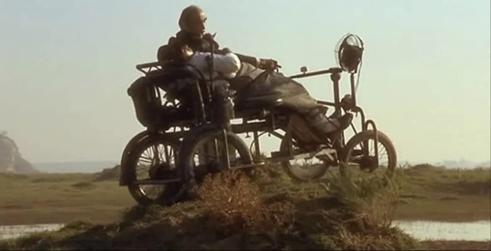 黒猫・白猫の画像