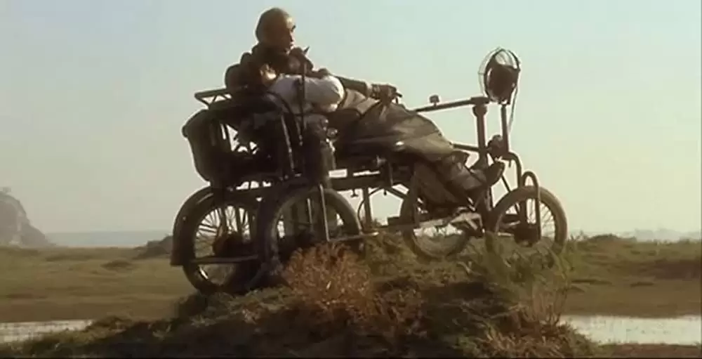 黒猫・白猫の画像