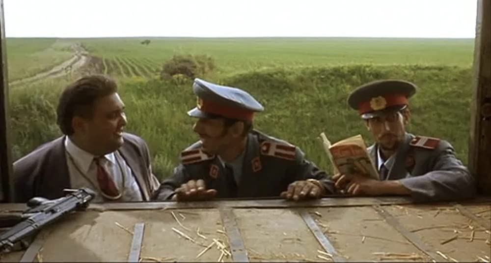 黒猫・白猫の画像