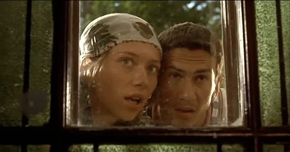 黒猫・白猫の画像