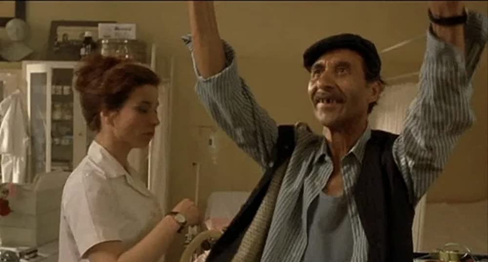 黒猫・白猫の画像