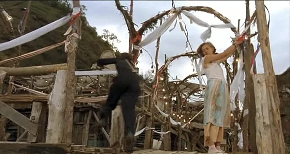 黒猫・白猫の画像