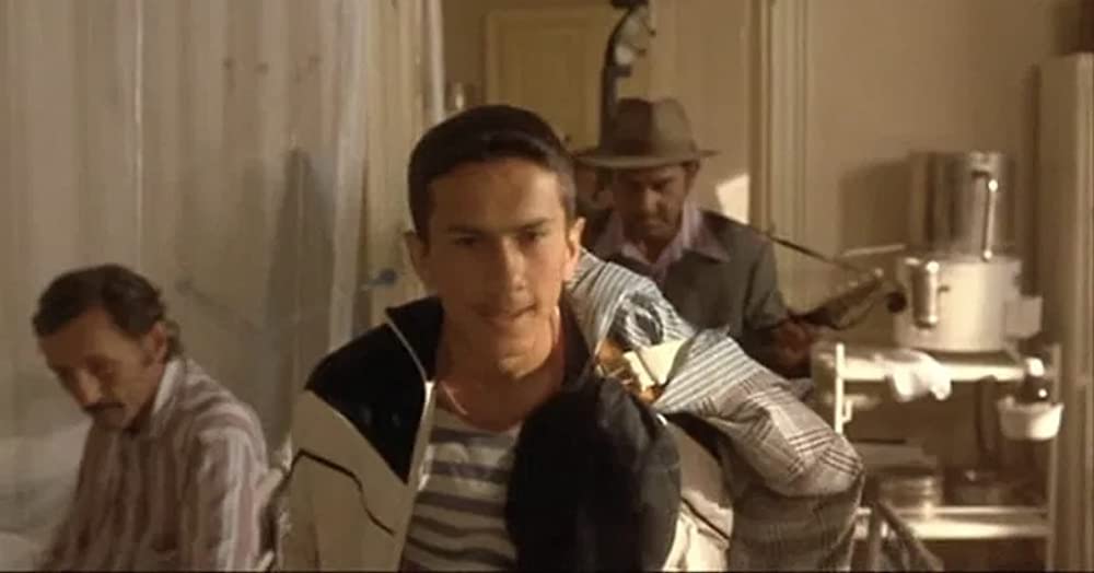 黒猫・白猫の画像