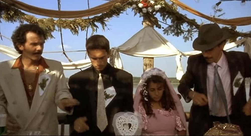 黒猫・白猫の画像