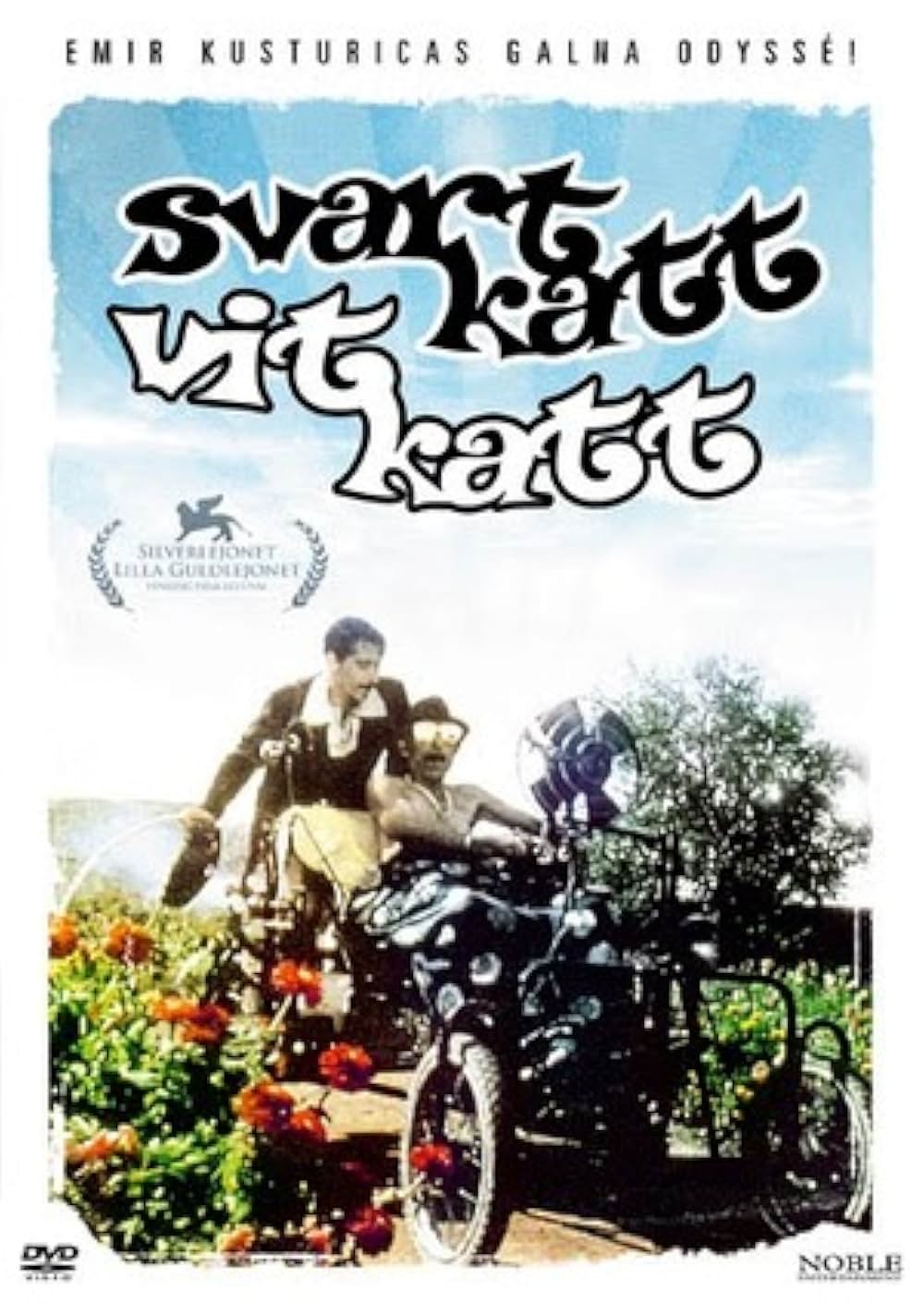 黒猫・白猫の画像