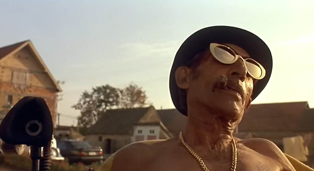 黒猫・白猫の画像