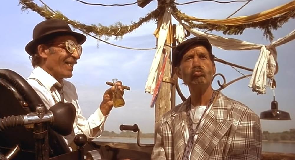 黒猫・白猫の画像