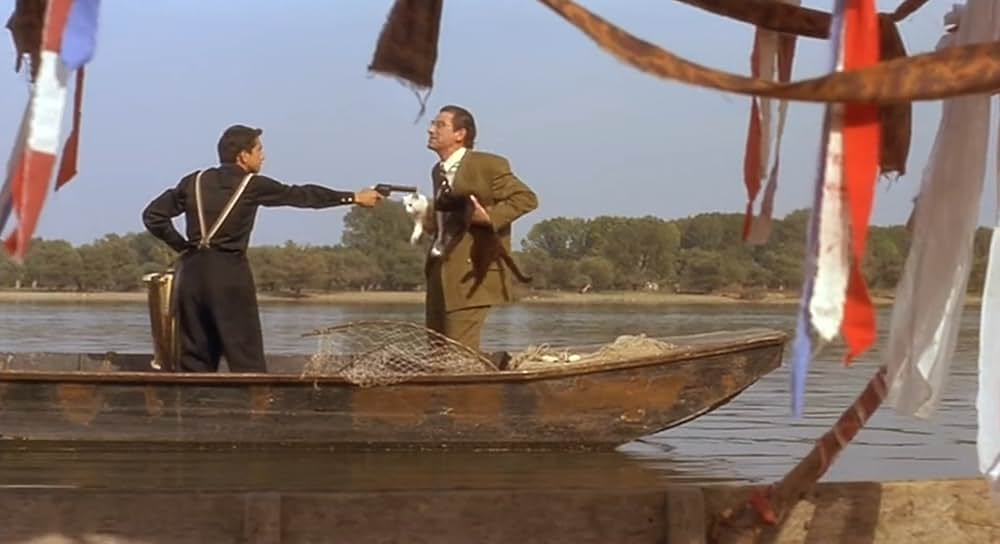 黒猫・白猫の画像