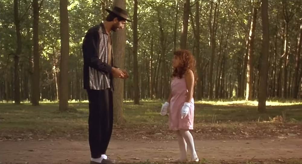 黒猫・白猫の画像