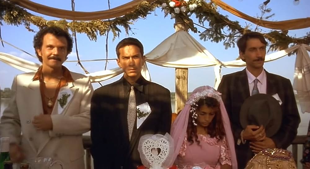 黒猫・白猫の画像