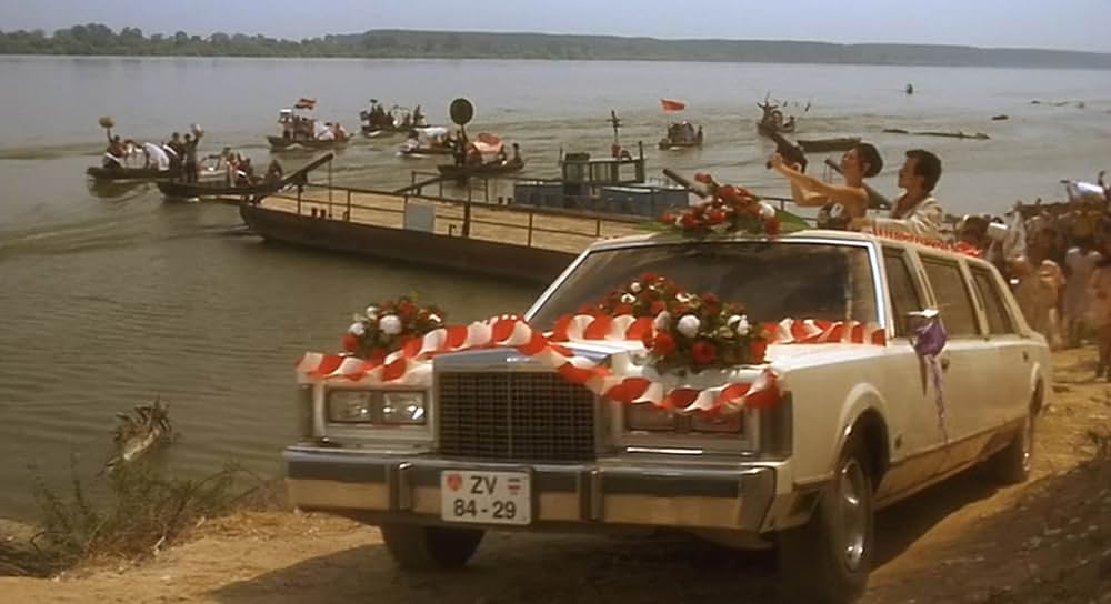 黒猫・白猫の画像