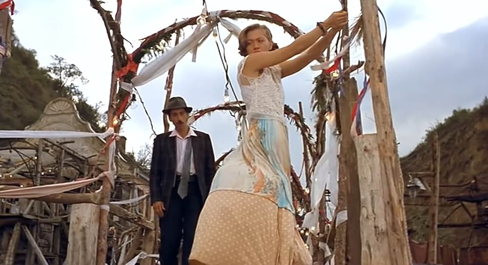 黒猫・白猫の画像