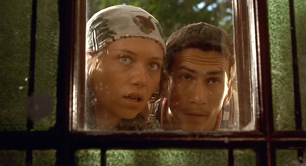 黒猫・白猫の画像