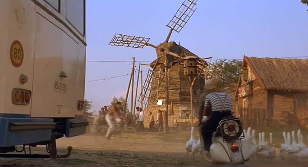 黒猫・白猫の画像