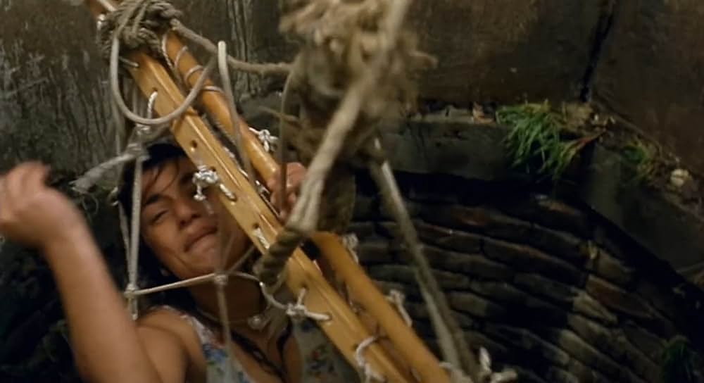 黒猫・白猫の画像