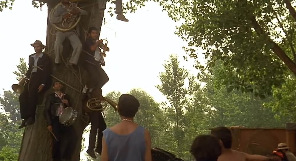 黒猫・白猫の画像