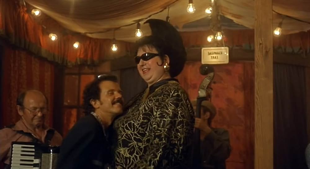 黒猫・白猫の画像