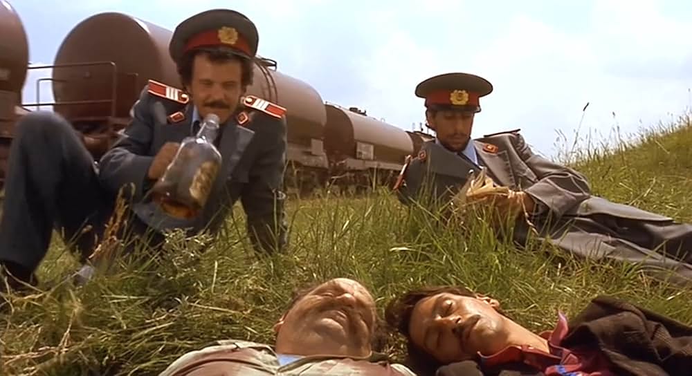 黒猫・白猫の画像