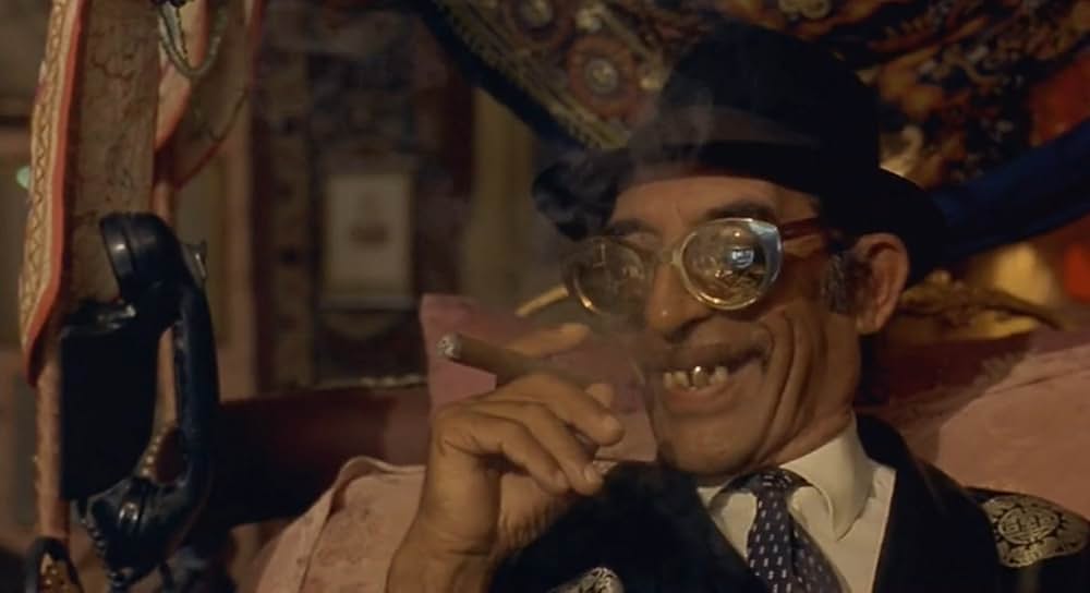 黒猫・白猫の画像