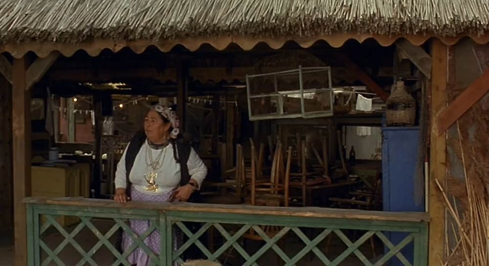 黒猫・白猫の画像