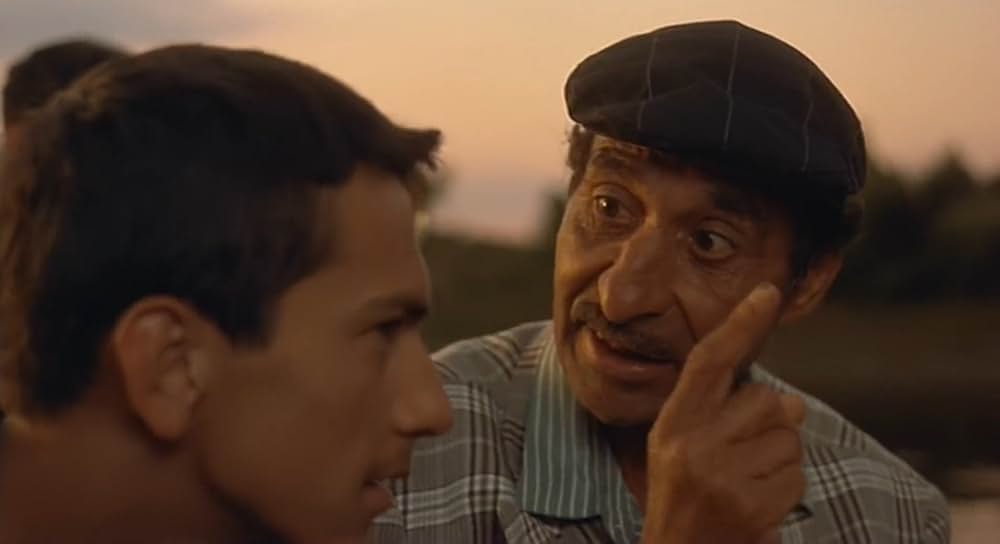 黒猫・白猫の画像