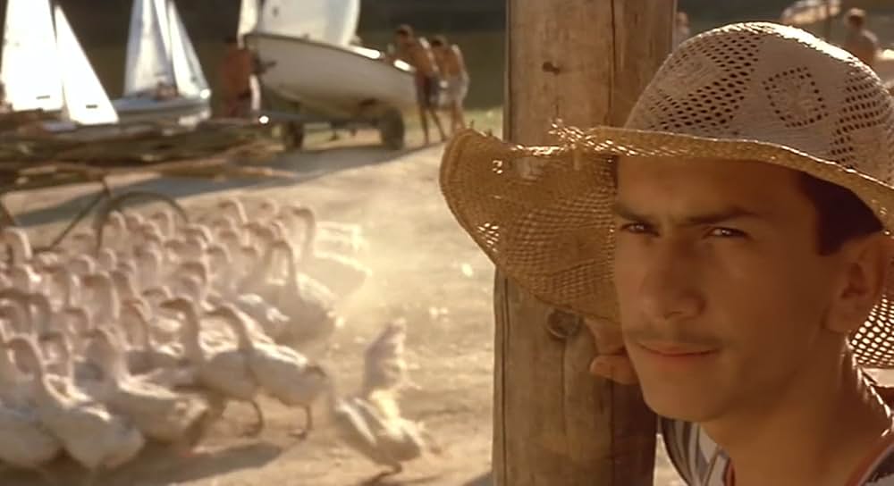 黒猫・白猫の画像