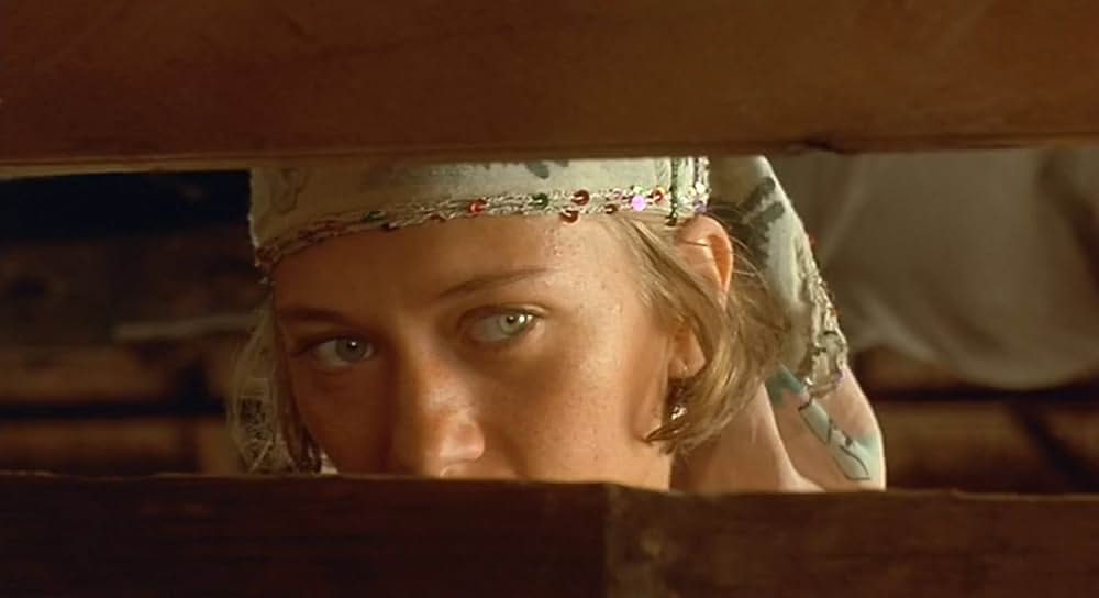 黒猫・白猫の画像