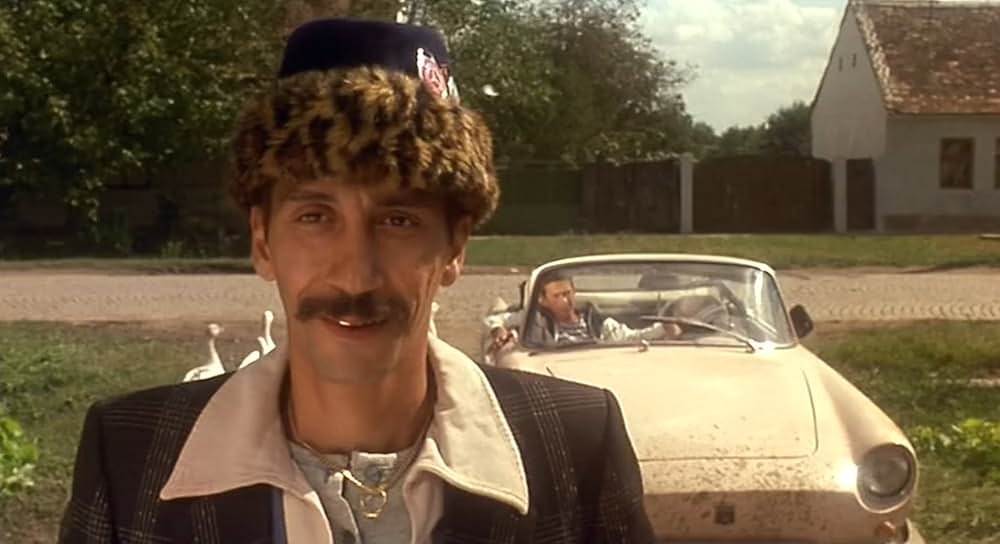 黒猫・白猫の画像