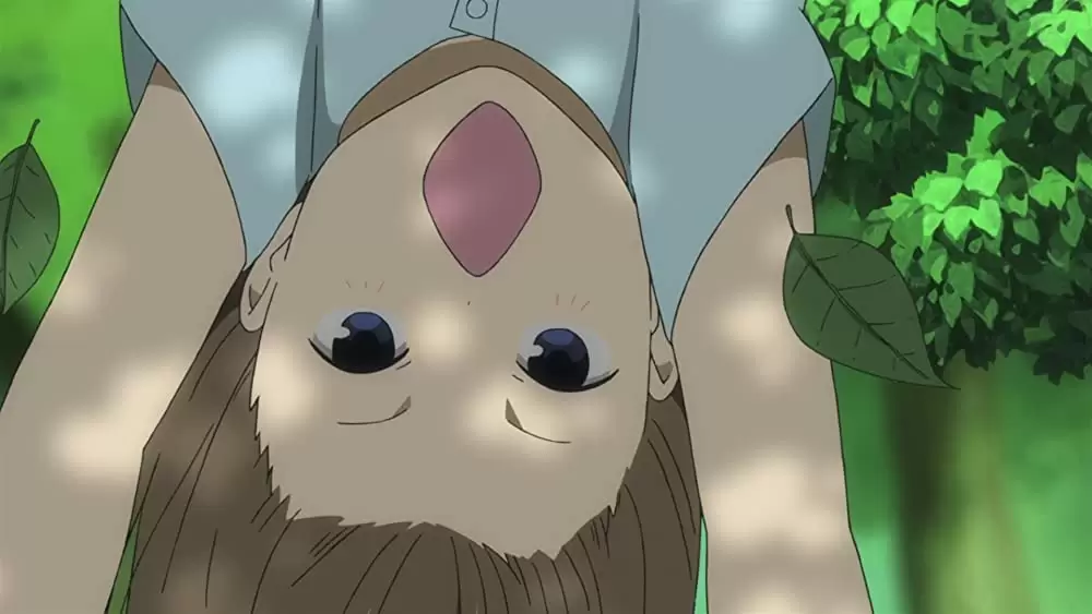 蛍火の杜への画像