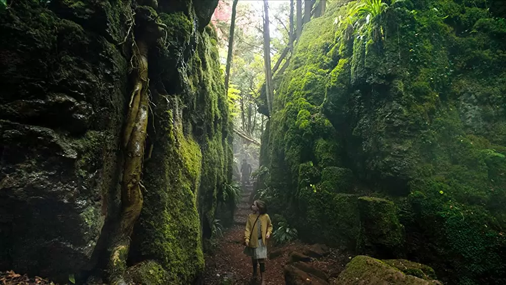 「シークレット・ガーデン」Dixie Egerickxの画像