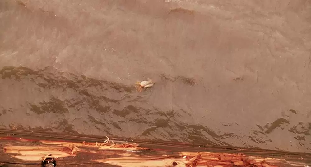 シークレット・ガーデンの画像