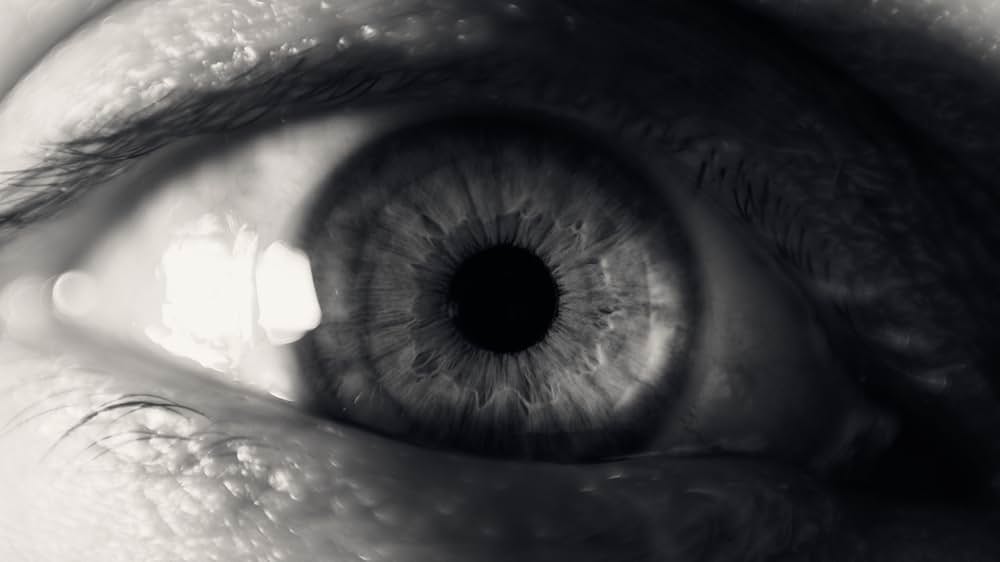 The Driver（原題）の画像