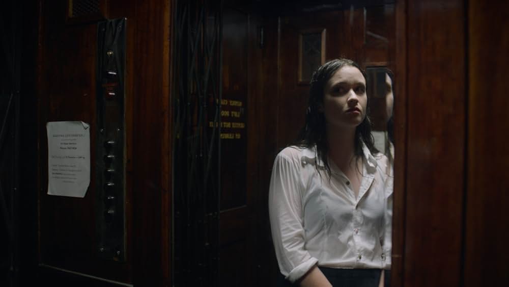 ファミリー・ハピネスの写真