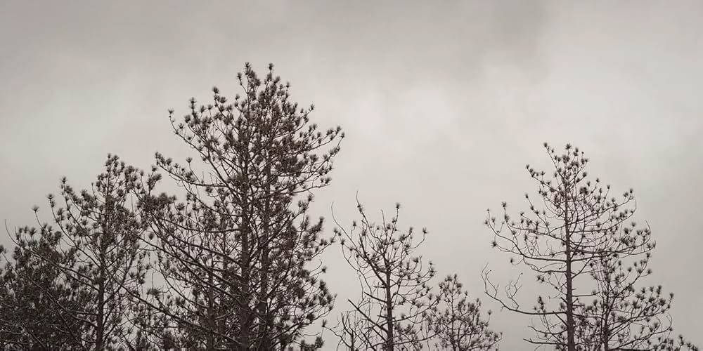 Scare Me（原題）の画像