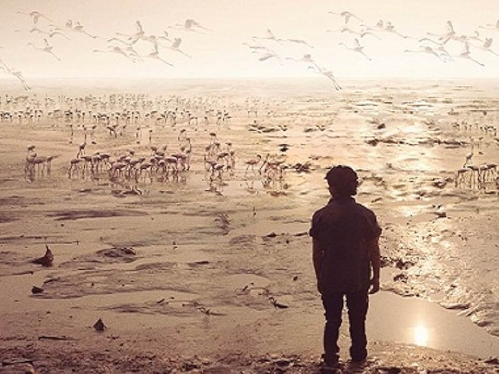 Beyond the Clouds（原題）の画像