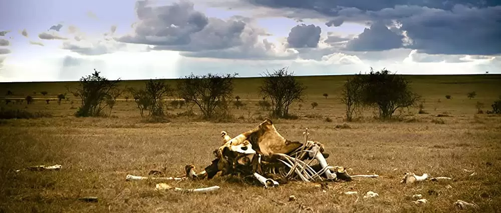 未来を生きる君たちへの画像