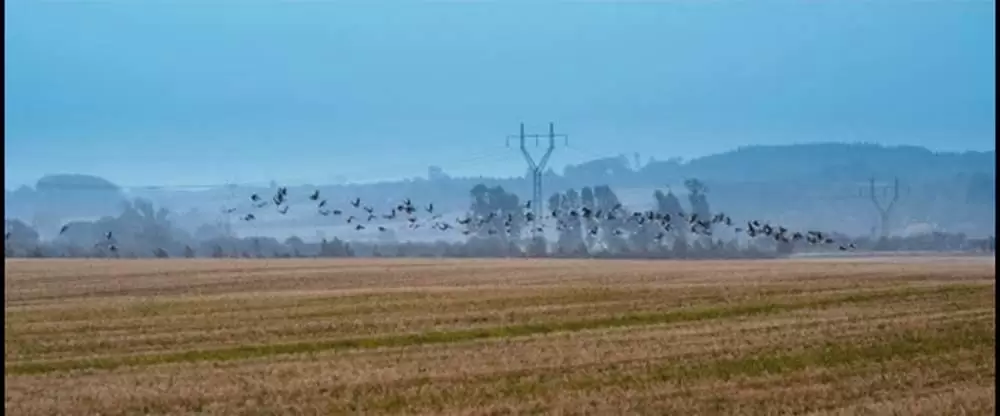 未来を生きる君たちへの画像