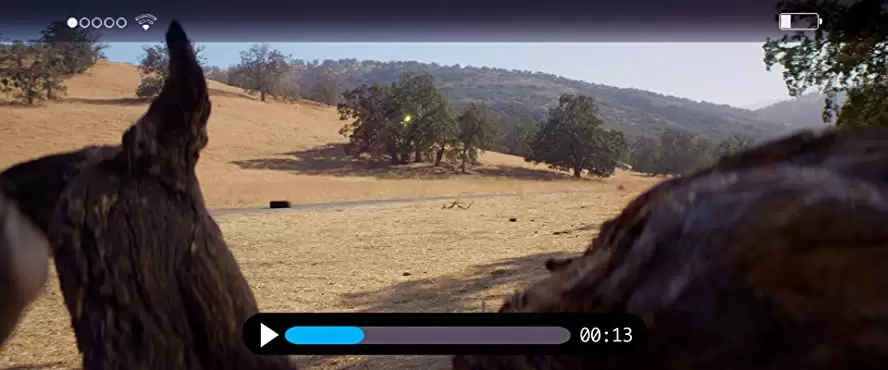 ダウンレンジの画像