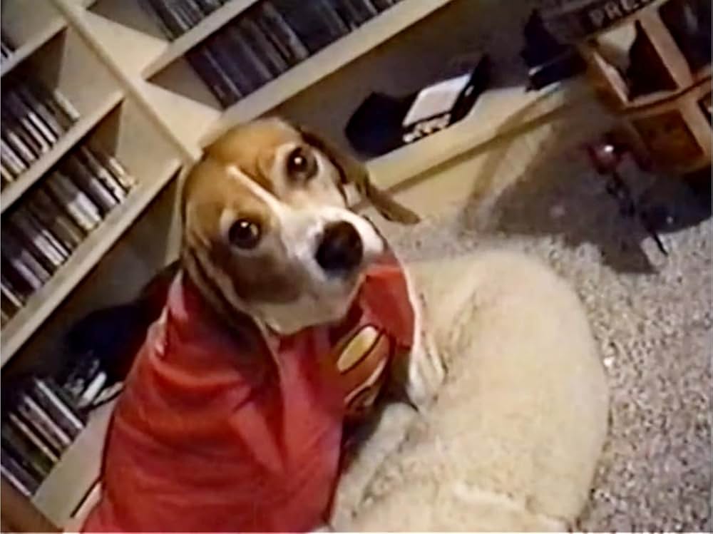 Mulva: Zombie Ass Kicker!（原題）の画像